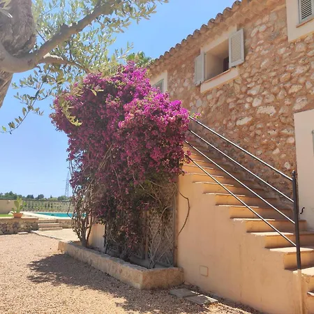Son Bauzanet Villa Establiments