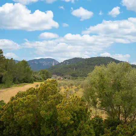 Villa Son Bauzanet Establiments
